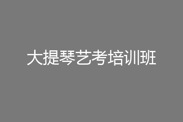 大提琴艺考培训班