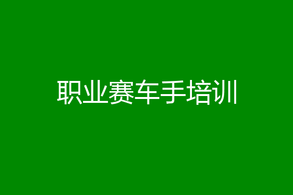 职业赛车手培训