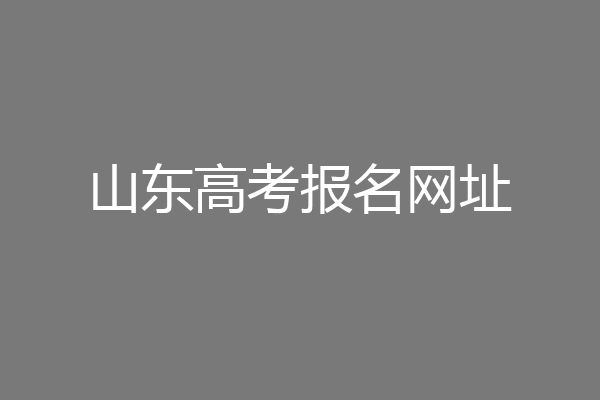山东高考报名网址