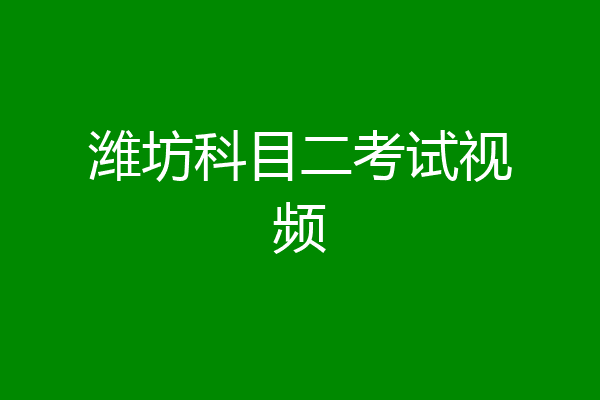 潍坊科目二考试视频
