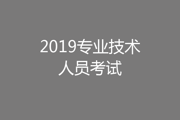 2019专业技术人员考试