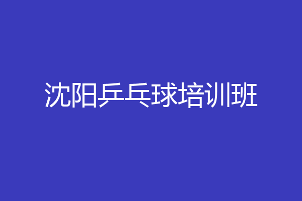 沈阳乒乓球培训班
