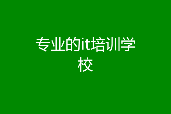 专业的it培训学校