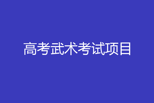 高考武术考试项目