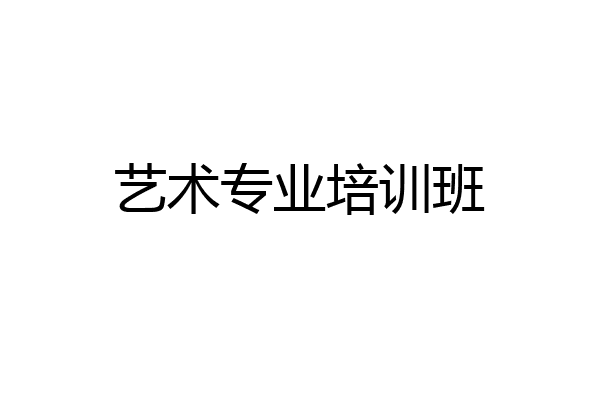 艺术专业培训班