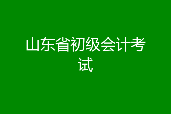 山东省初级会计考试