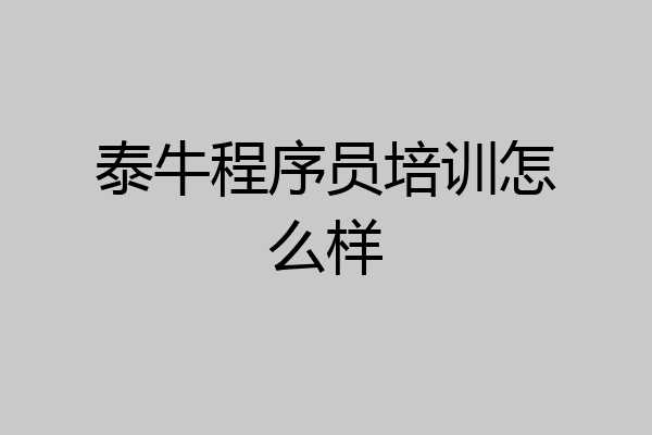 泰牛程序员培训怎么样