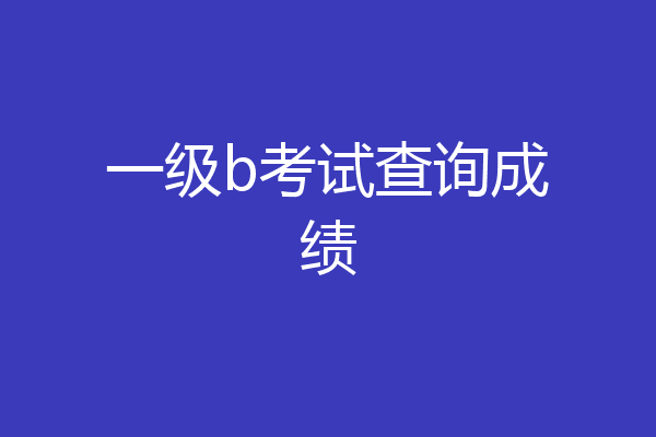 一级b考试查询成绩