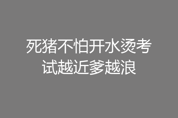 死猪不怕开水烫考试越近爹越浪