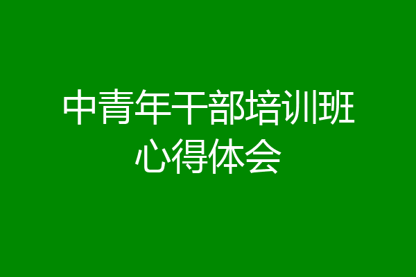 中青年干部培训班心得体会