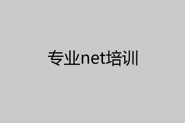 专业net培训