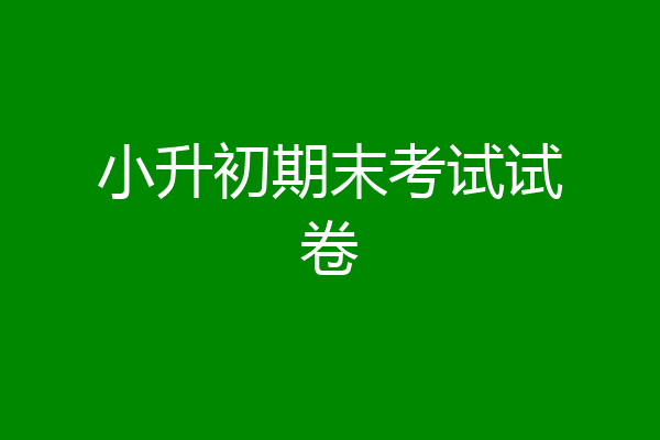 小升初期末考试试卷