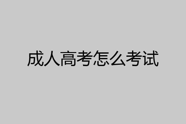 成人高考怎么考试