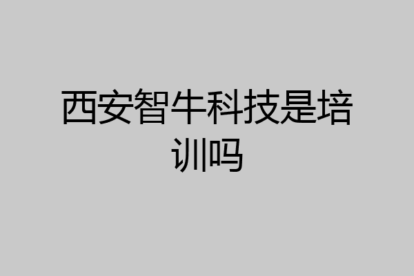 西安智牛科技是培训吗