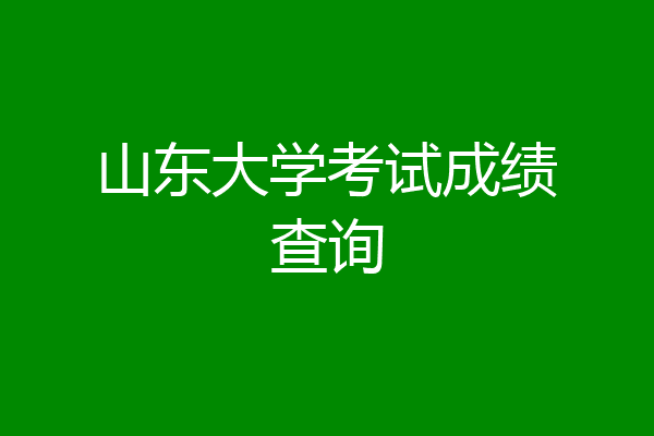 山东大学考试成绩查询