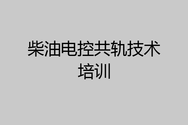 柴油电控共轨技术培训