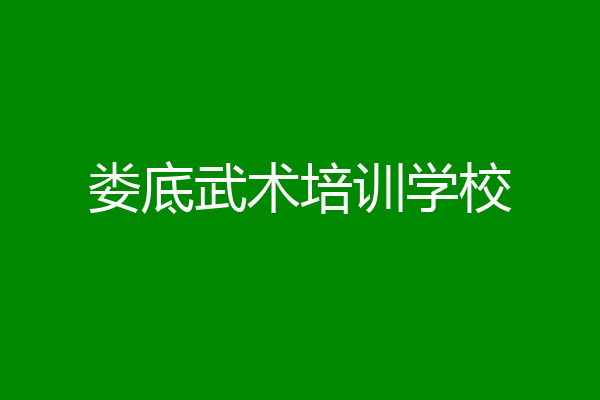 娄底武术培训学校