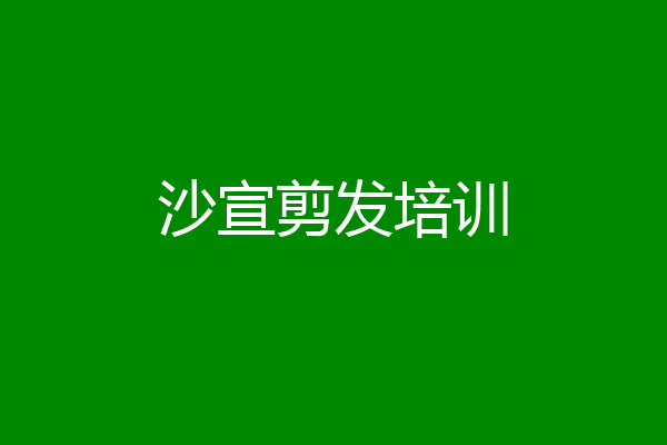 沙宣剪发培训