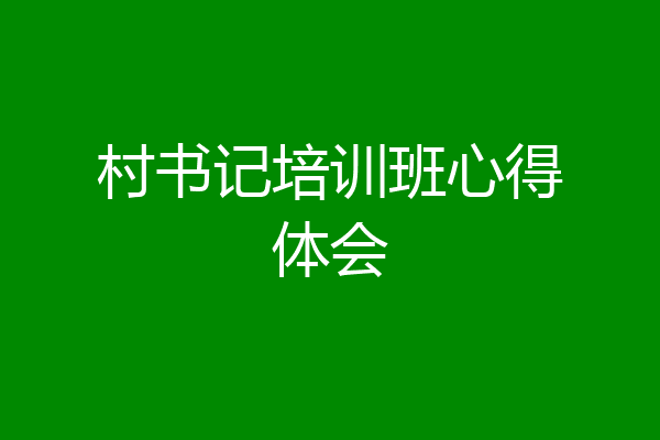 村书记培训班心得体会