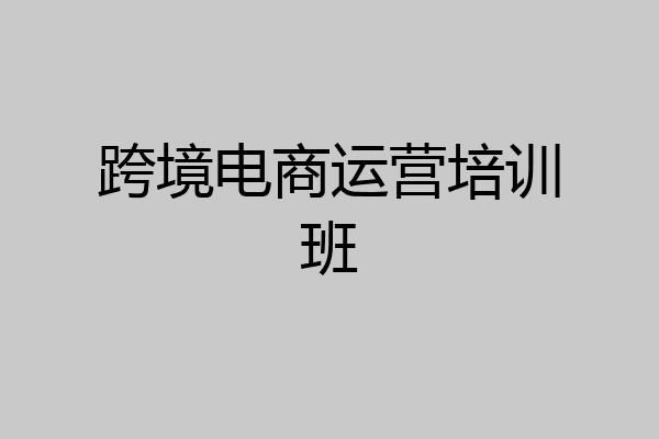 跨境电商运营培训班