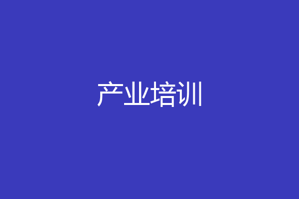 产业培训