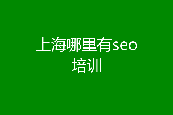 上海哪里有seo培训