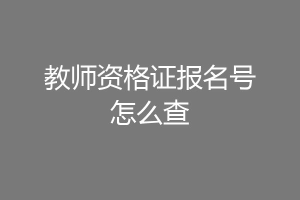 教师资格证报名号怎么查
