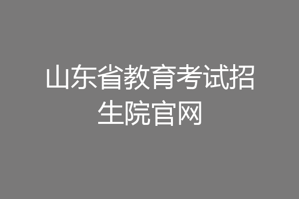 山东省教育考试招生院官网