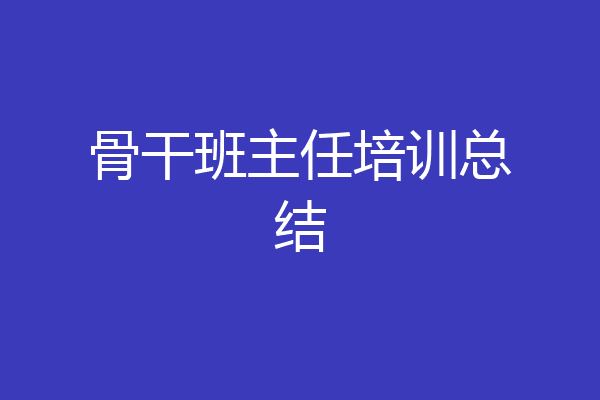 骨干班主任培训总结