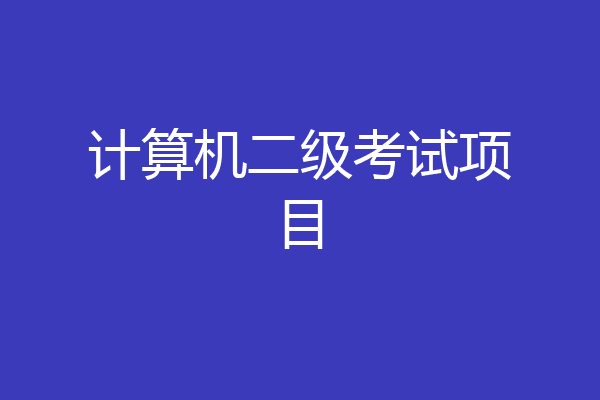 计算机二级考试项目