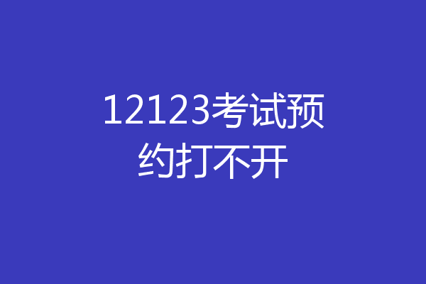 12123考试预约打不开