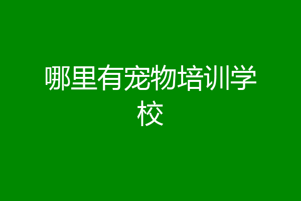 哪里有宠物培训学校