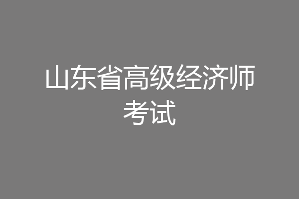 山东省高级经济师考试