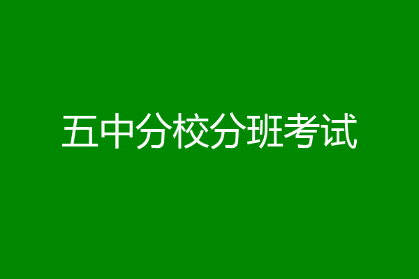 五中分校分班考试