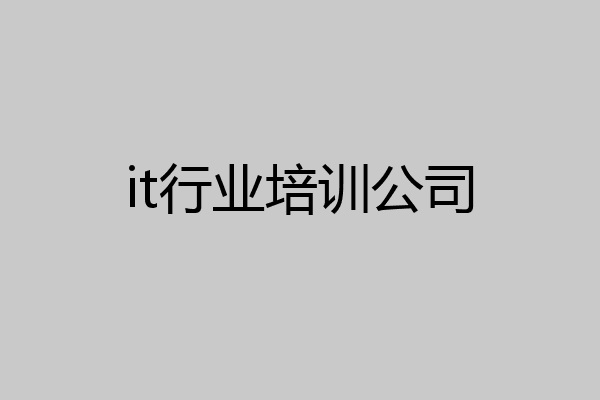 it行业培训公司