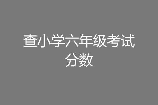 查小学六年级考试分数