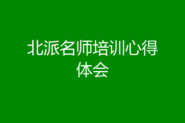 北派名师培训心得体会