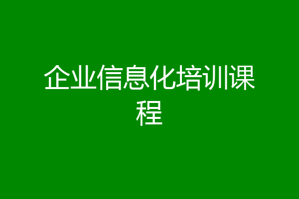 企业信息化培训课程