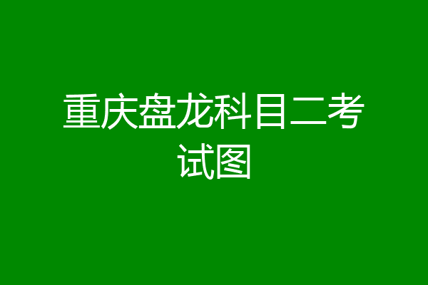 重庆盘龙科目二考试图