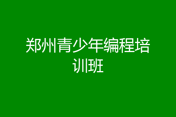 郑州青少年编程培训班