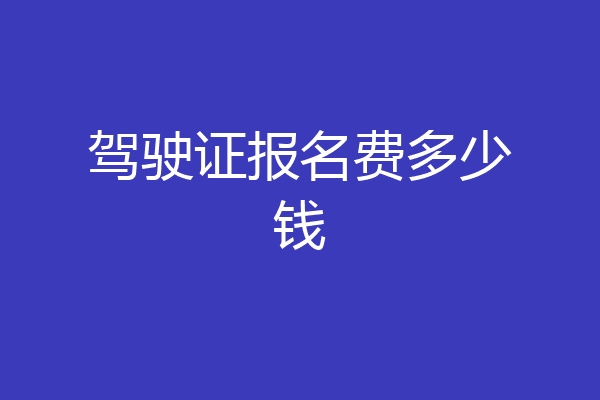 驾驶证报名费多少钱