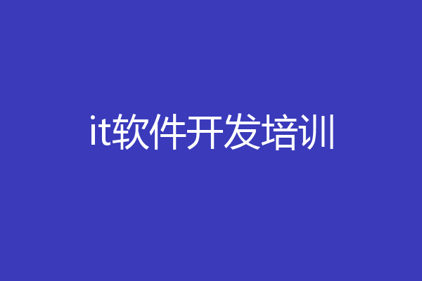 it软件开发培训
