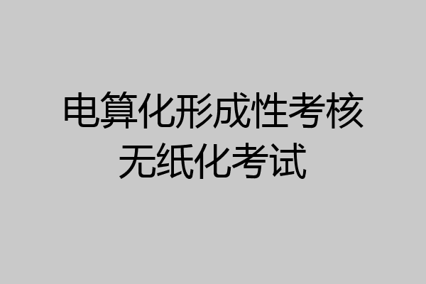 电算化形成性考核无纸化考试
