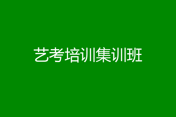 艺考培训集训班