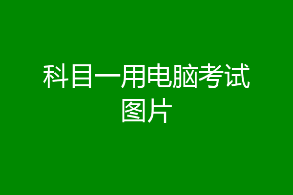 科目一用电脑考试图片