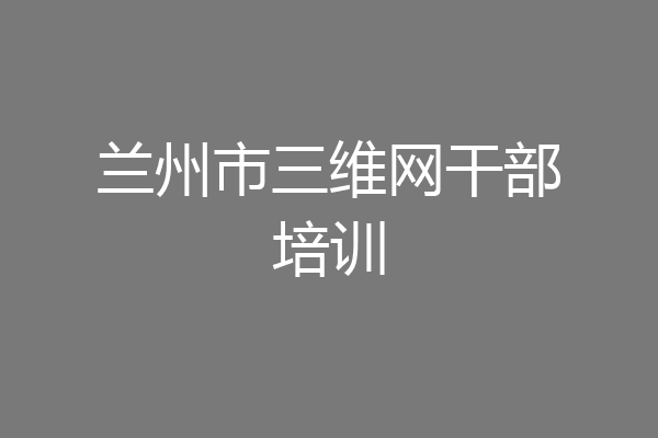 兰州市三维网干部培训