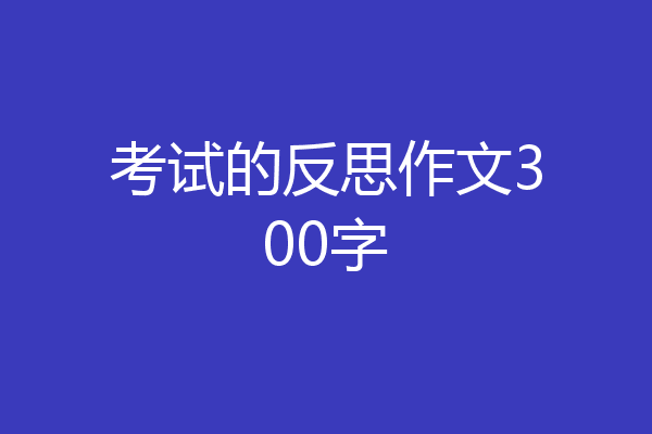 考试的反思作文300字