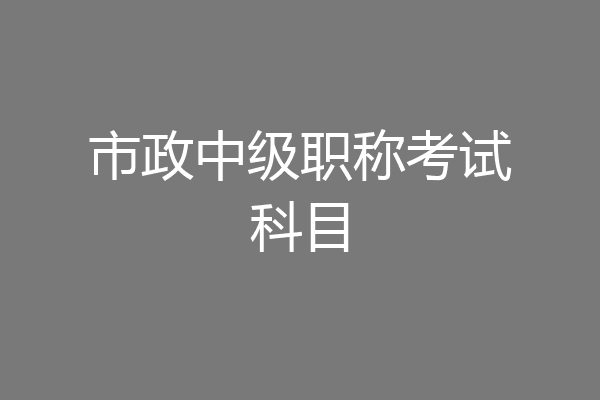 市政中级职称考试科目