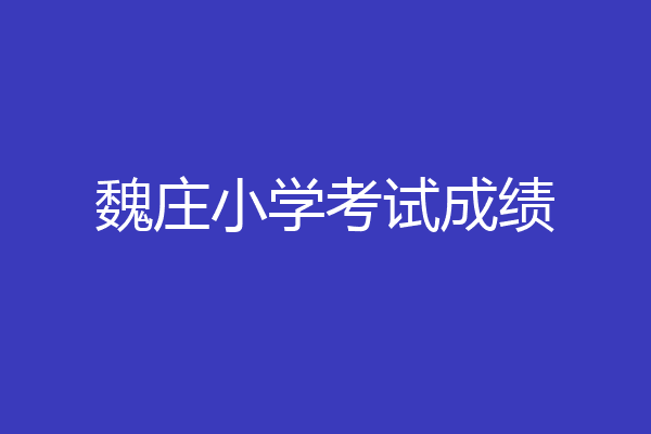 魏庄小学考试成绩