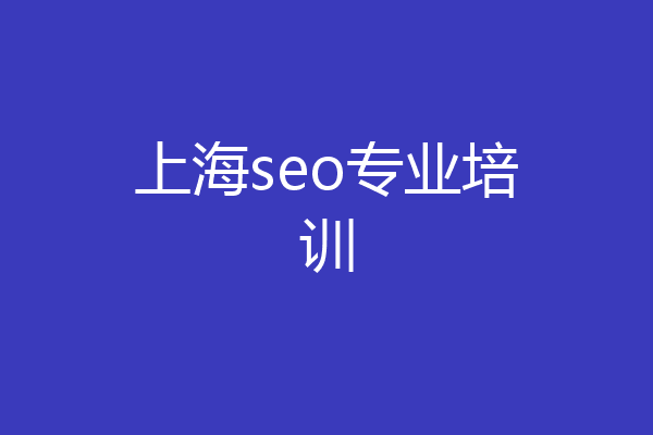 上海seo专业培训